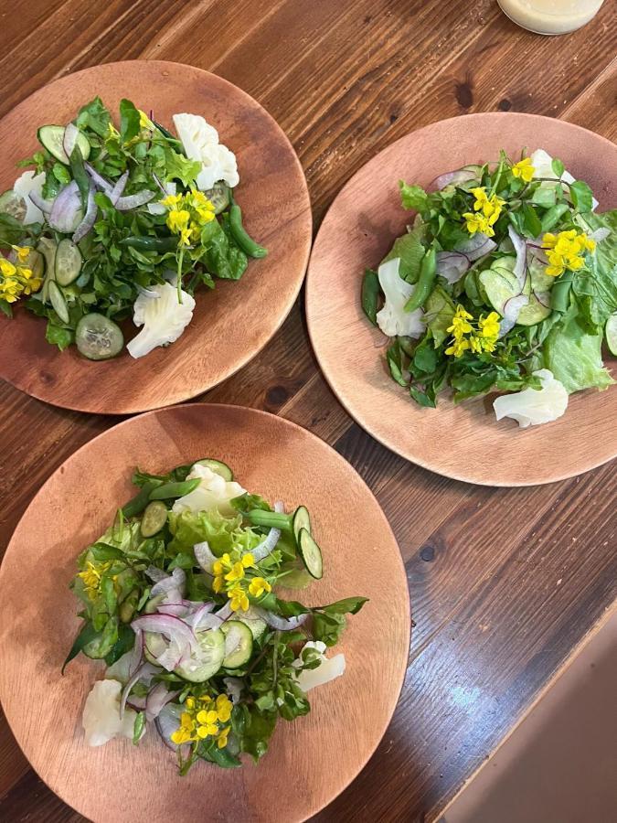 فندق Vegetarian House Jamoo ياماناكاكو المظهر الخارجي الصورة